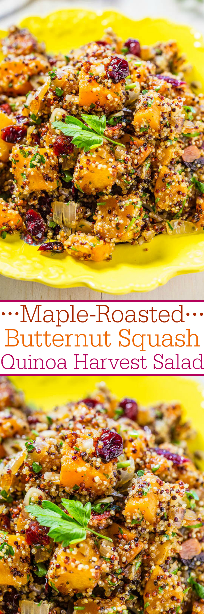 Butternut Squash Quinoa Salad — Easy and packed with big fall flavors!! Maple syrup, squash, and cranberries were made for each other! Love it when healthy tastes so good!!