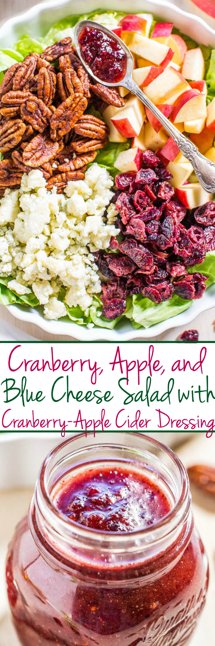 Apple Cranberry Salad with Blue Cheese — All the flavors of fall in one gorgeous, hearty, and healthy salad!! The easy, tart-and-sweet dressing is just bursting with flavor!!