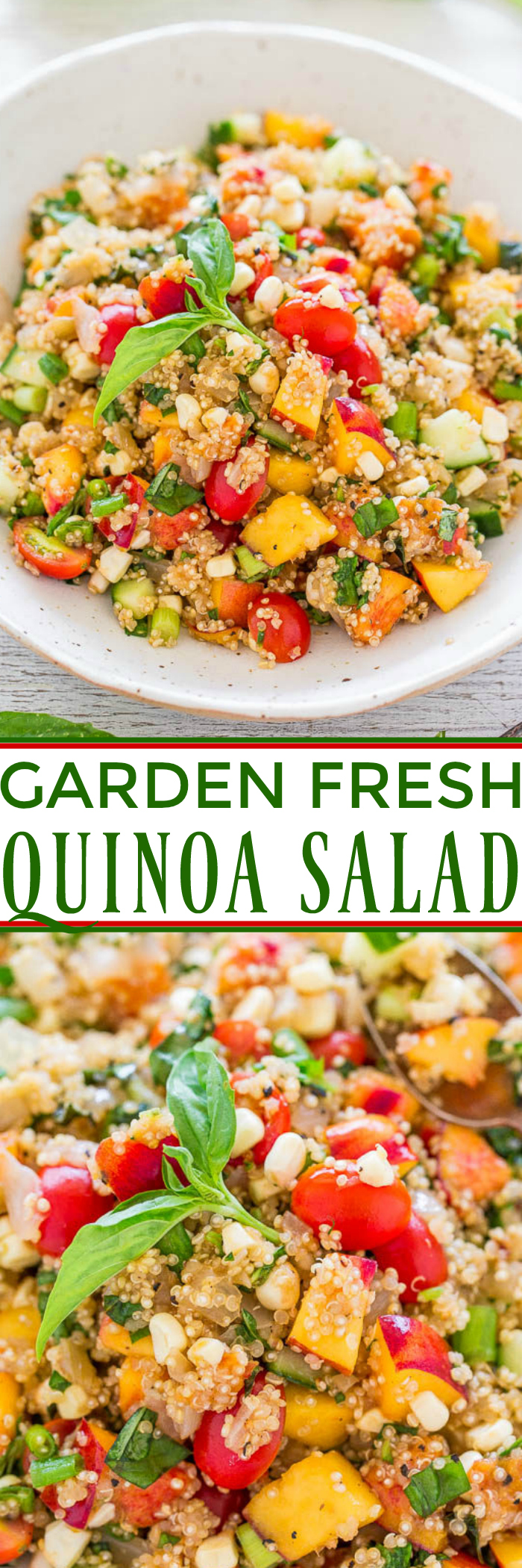 Garden Fresh Summer Quinoa Salad — Loaded with everything fresh, light, healthy, and SUMMERY!! Great for parties, potlucks, and lunch boxes because there's no mayo! Make this EASY and flavorful dish before summer disappears!!