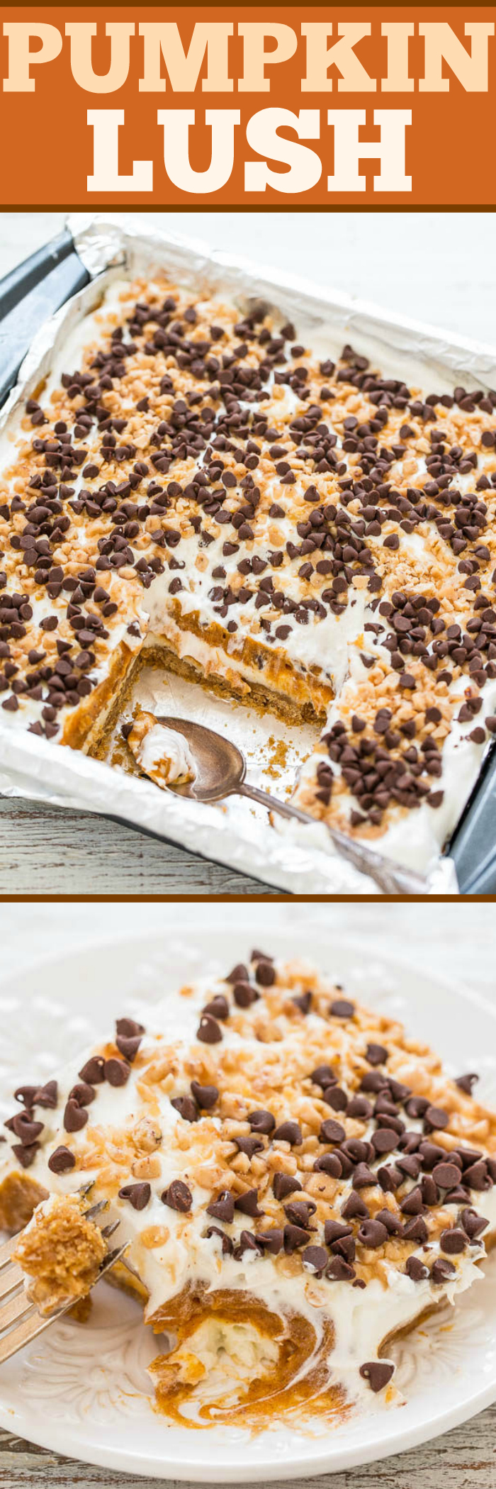 Pumpkin Lush - EASY layered dessert with a graham cracker crust, cream cheese, pudding, PUMPKIN, whipped topping, chocolate chips, and toffee bits!! A little bit of CRUNCH with lots of fluffy CREAMINESS!!