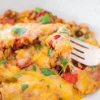 A plate of cheesy enchilada casserole garnished with fresh cilantro, with a fork digging in.