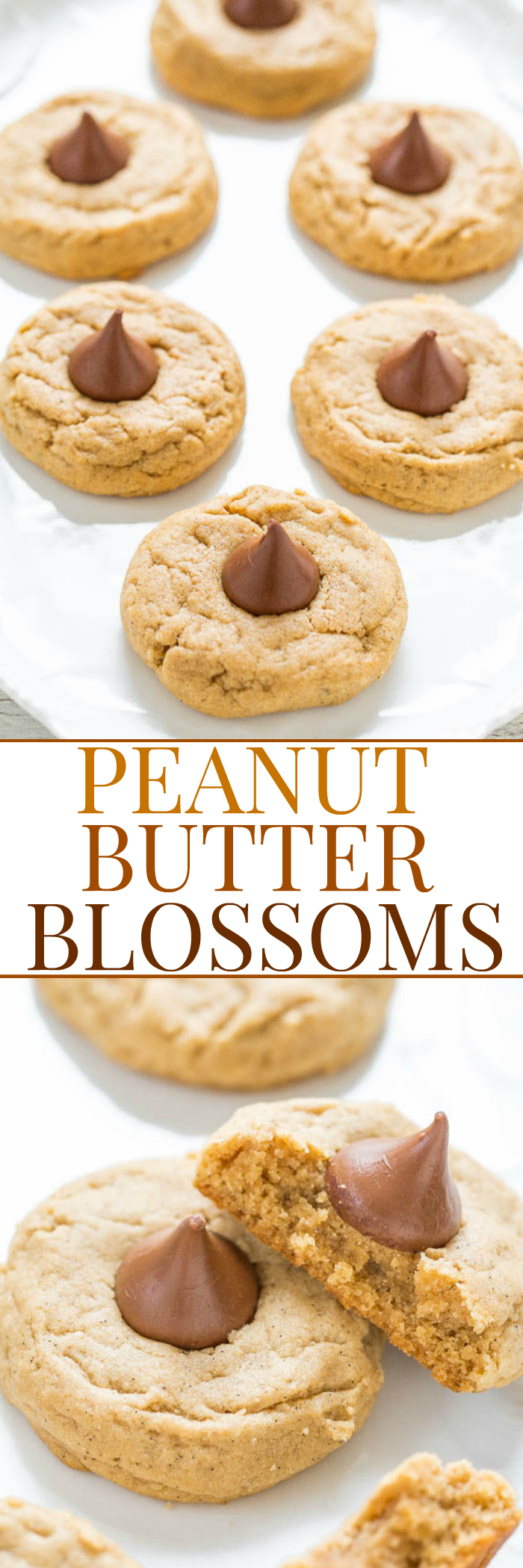 Peanut Butter Blossoms - A soft and chewy recipe for the classic cookie that STAYS SOFT!! Easy, full of rich peanut butter flavor, and topped with a Kiss! Always a cookie jar or cookie exchange favorite!!