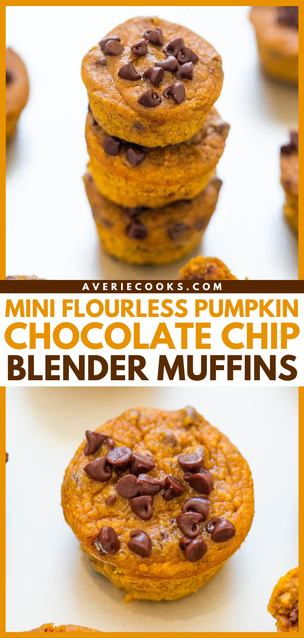 Mini Flourless Pumpkin Chocolate Chip Blender Muffins - The EASIEST pumpkin muffins ever!! Everything is mixed together in your blender! Super soft, moist, brimming with bold pumpkin flavor, and chocolate chips in every bite!! DELISH!!