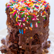 A chocolate cake with multicolored sprinkles and chocolate icing dripping down the sides on a white plate.