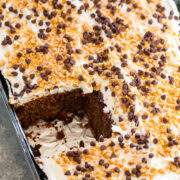 A frosted cake with mini chocolate chips and toasted coconut flakes in a baking dish, partially sliced.