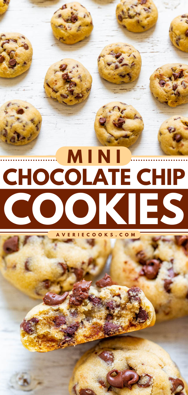 Mini Chocolate Chip Cookies — Soft, chewy, adorable little MINI cookies that are a hit with everyone!! Fast and easy! Bet you can't eat just one!!