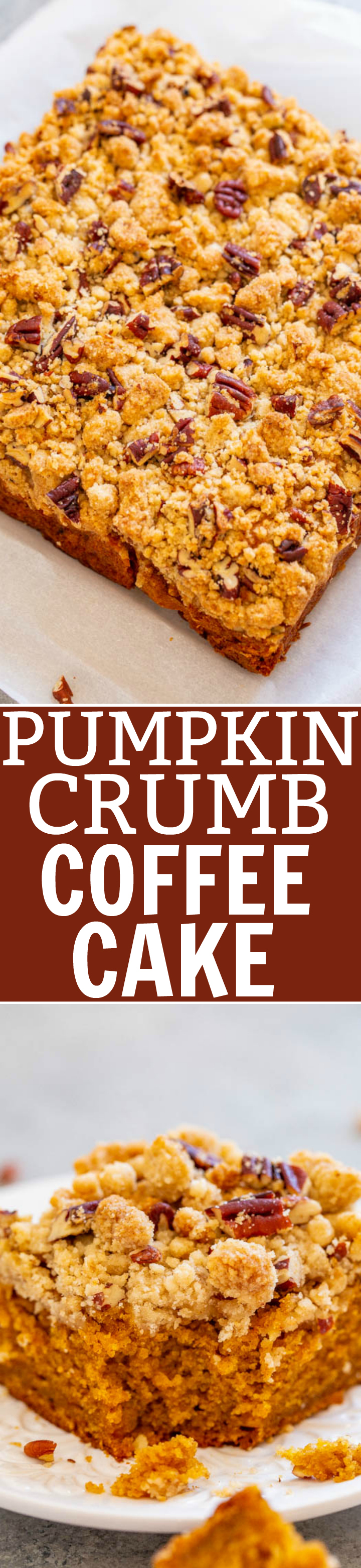 Pumpkin Crumb Coffee Cake - A FAST and EASY no-mixer coffee cake with rich pumpkin flavor!! Super soft, tender, and topped with the BEST crumble topping that you'll fall in love with! Great for brunches and holiday entertaining!!