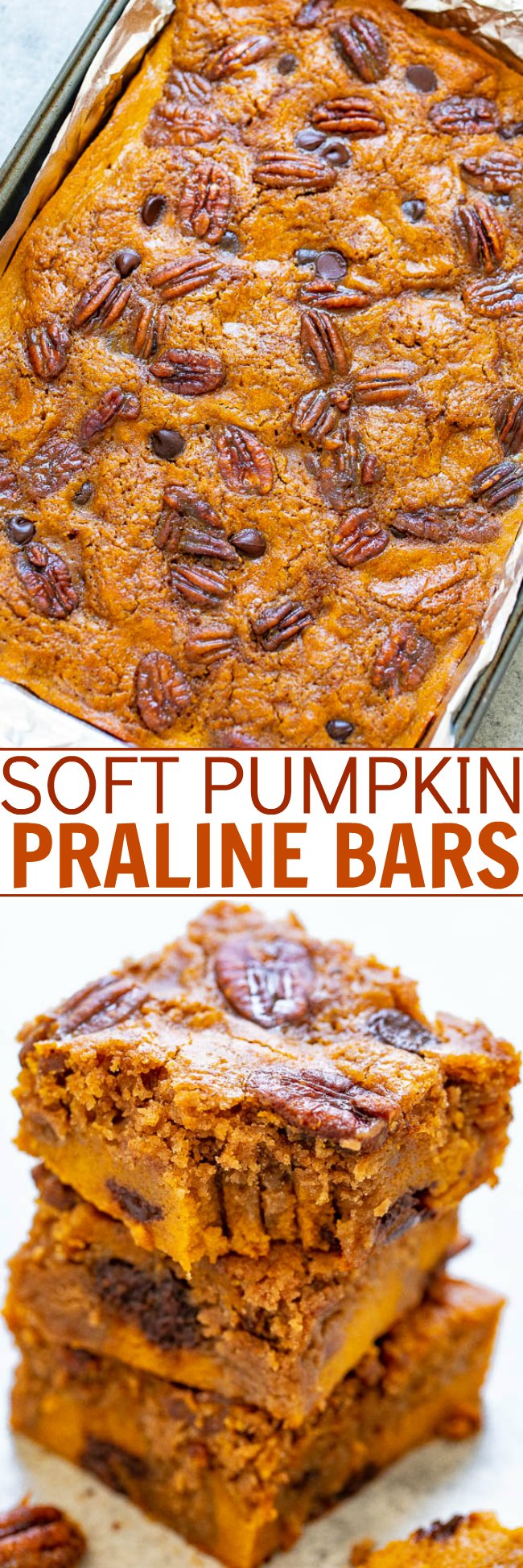 Soft Praline Pumpkin Bars (with Cake Mix!) — SUPER soft pumpkin bars studded with chocolate chips, candied pecans, and plenty of pumpkin pie spice!! A FAST and EASY dessert that feeds a crowd for your fall and winter celebrations!!