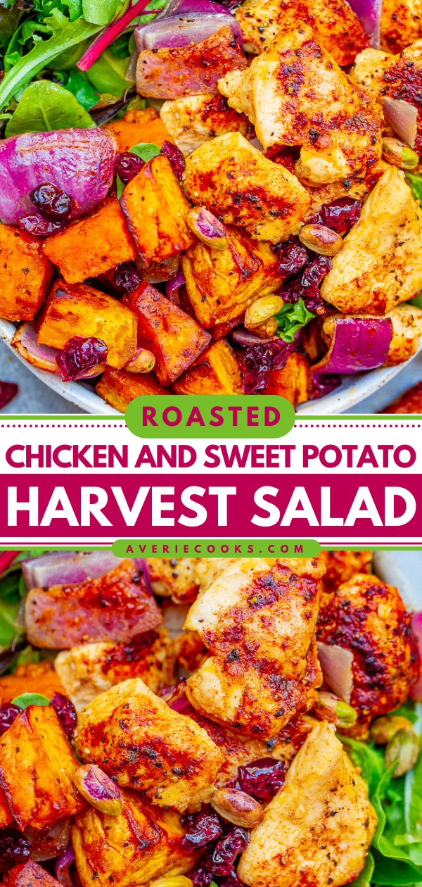 Roasted Chicken and Sweet Potato Salad — Fall-inspired ingredients including tender sweet potatoes, juicy chicken, red onions, cranberries, and pumpkin seeds topped with a honey apple cider vinaigrette!!  A HEARTY and COMFORTING salad that makes a big batch perfect for planned leftovers!!
