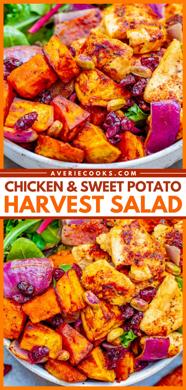Roasted Chicken and Sweet Potato Salad — Fall-inspired ingredients including tender sweet potatoes, juicy chicken, red onions, cranberries, and pumpkin seeds topped with a honey apple cider vinaigrette!!  A HEARTY and COMFORTING salad that makes a big batch perfect for planned leftovers!!