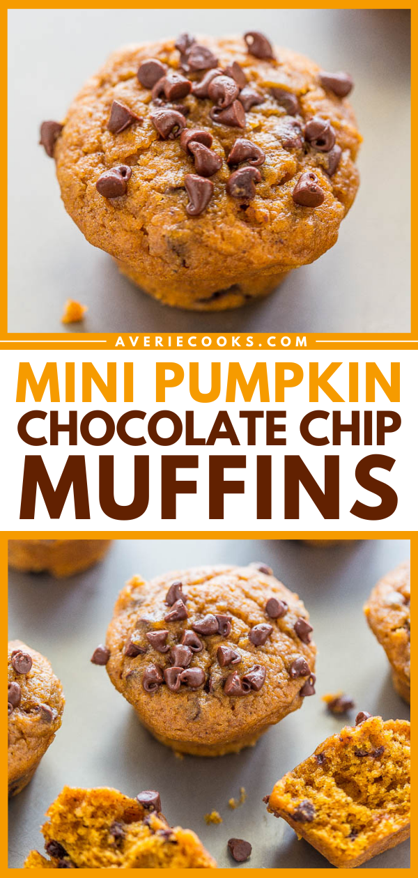 Mini Pumpkin Chocolate Chip Muffins — Easy, no mixer recipe for the SOFTEST, moistest, most ADORABLE little muffins ever!! Rich PUMPKIN flavor and CHOCOLATE in every bite!!