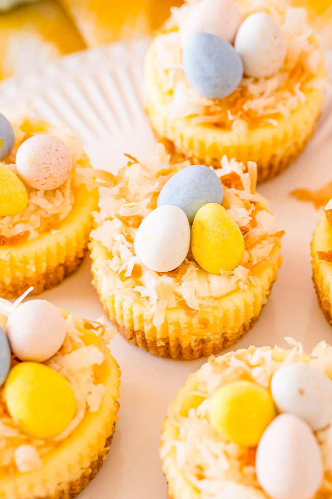 Mini Easter Cheesecakes - These cute little cheesecakes are perfect for Easter! Creamy cheesecake filling sits atop a shortbread crust and is topped with a cheesecake pudding whipped cream and coconut!