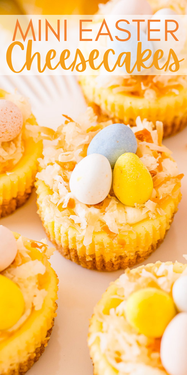 Mini Easter Cheesecakes - These cute little cheesecakes are perfect for Easter! Creamy cheesecake filling sits atop a shortbread crust and is topped with a cheesecake pudding whipped cream, coconut, and mini chocolate eggs!