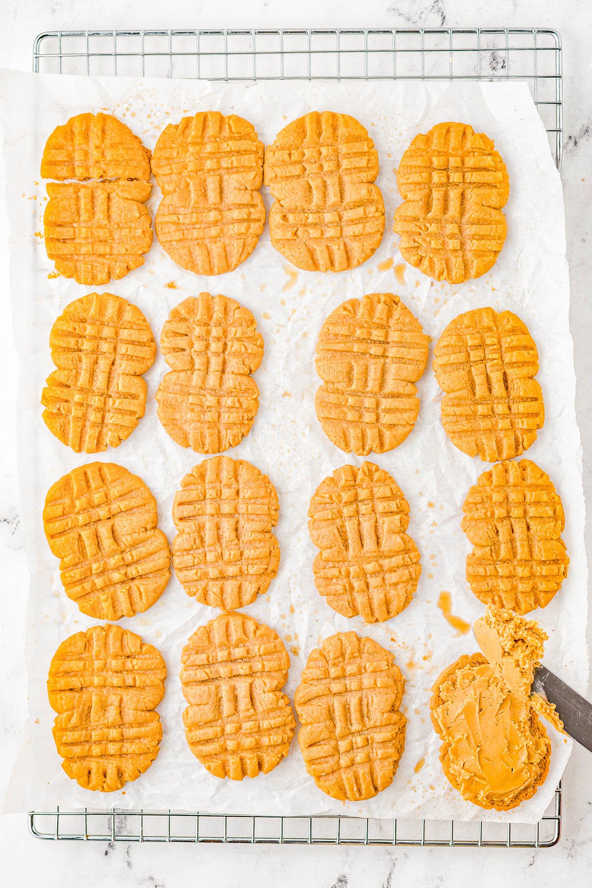 Homemade Nutter Butter Cookies - Homemade copycat Nutter Butters are so much better than the store bought originals! Creamy peanut butter filling is sandwiched between lightly crunchy peanut butter cookies. Pinches of optional sea salt and melted chocolate drizzled over the tops make these cookies simply THE BEST! 