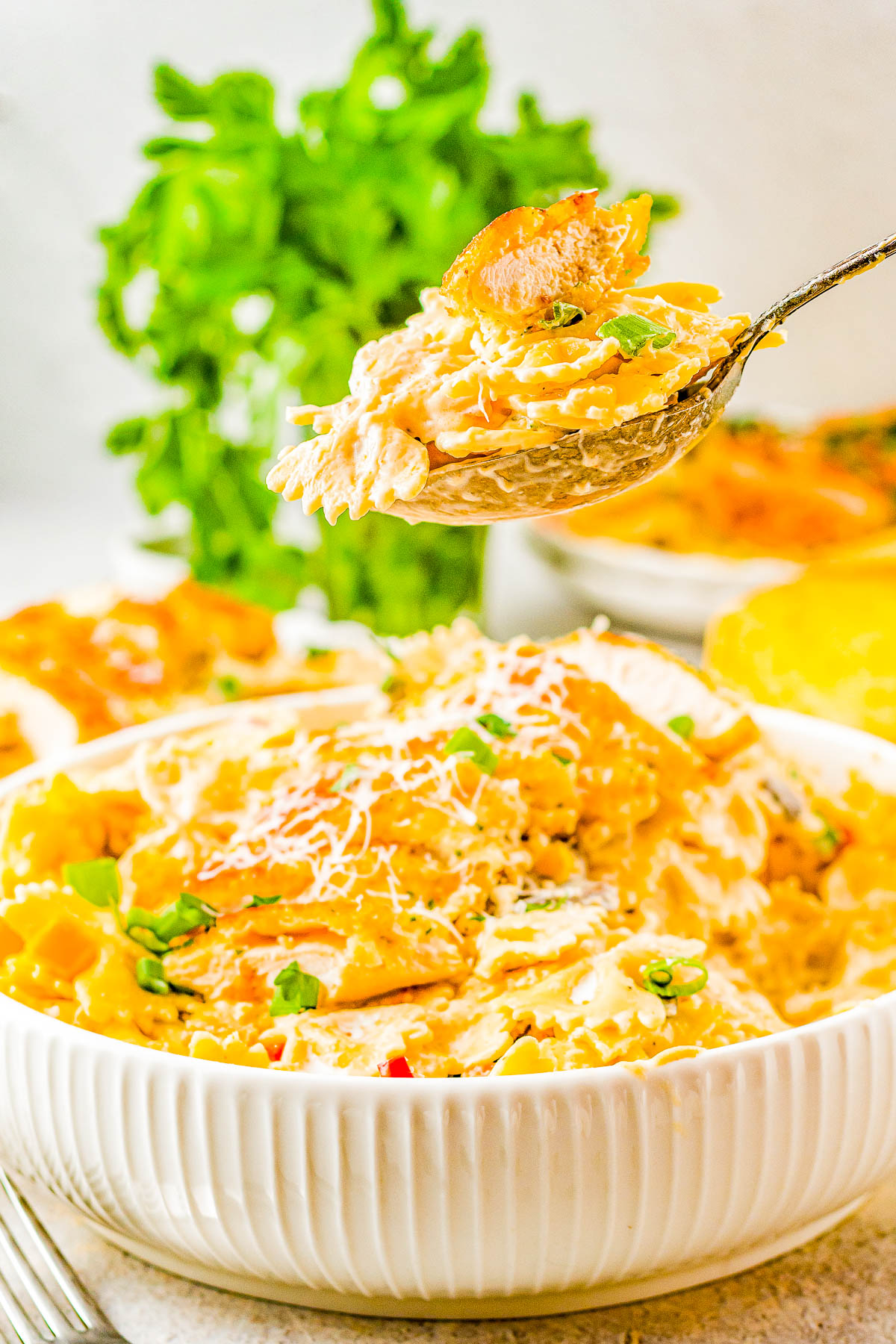 Creamy Cajun Chicken Pasta - Juicy Parmesan-crusted chicken and tender pasta with vegetables are tossed together in a creamy Cajun sauce making this recipe a family FAVORITE! My homemade version is a Chili's Restaurant copycat but I assure you, this is a better-than-the-restaurant dish you'll want to put on rotation even on busy weeknights!