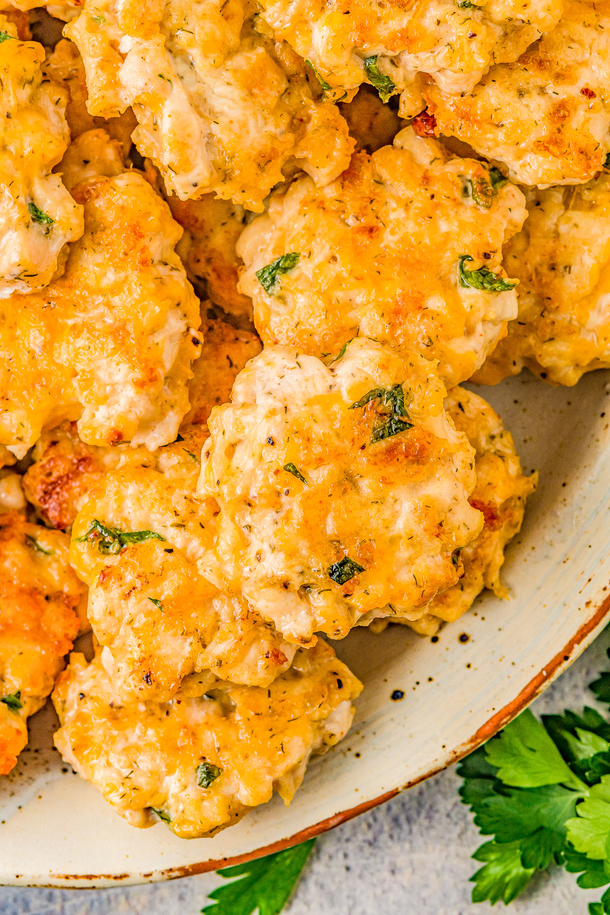 Cheesy Chicken Fritters - These AMAZING fritters include tender and juicy chicken, mozzarella and cheddar cheeses, and an array of spices to give them tons of great flavor! Serve them as an appetizer, on slider buns for sandwiches, or as the main dish! EASY, FAST, and a guaranteed family favorite!
