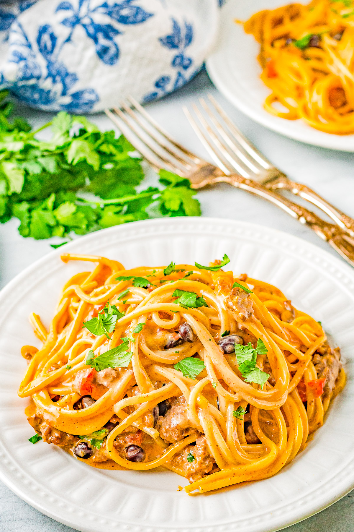 Taco Spaghetti - Tender spaghetti noodles are tossed in a creamy cheese sauce along with seasoned ground beef, tomatoes, green chiles, black beans, and cilantro! The PERFECT family-friendly weeknight dinner recipe that's super EASY and ready in 30 minutes!