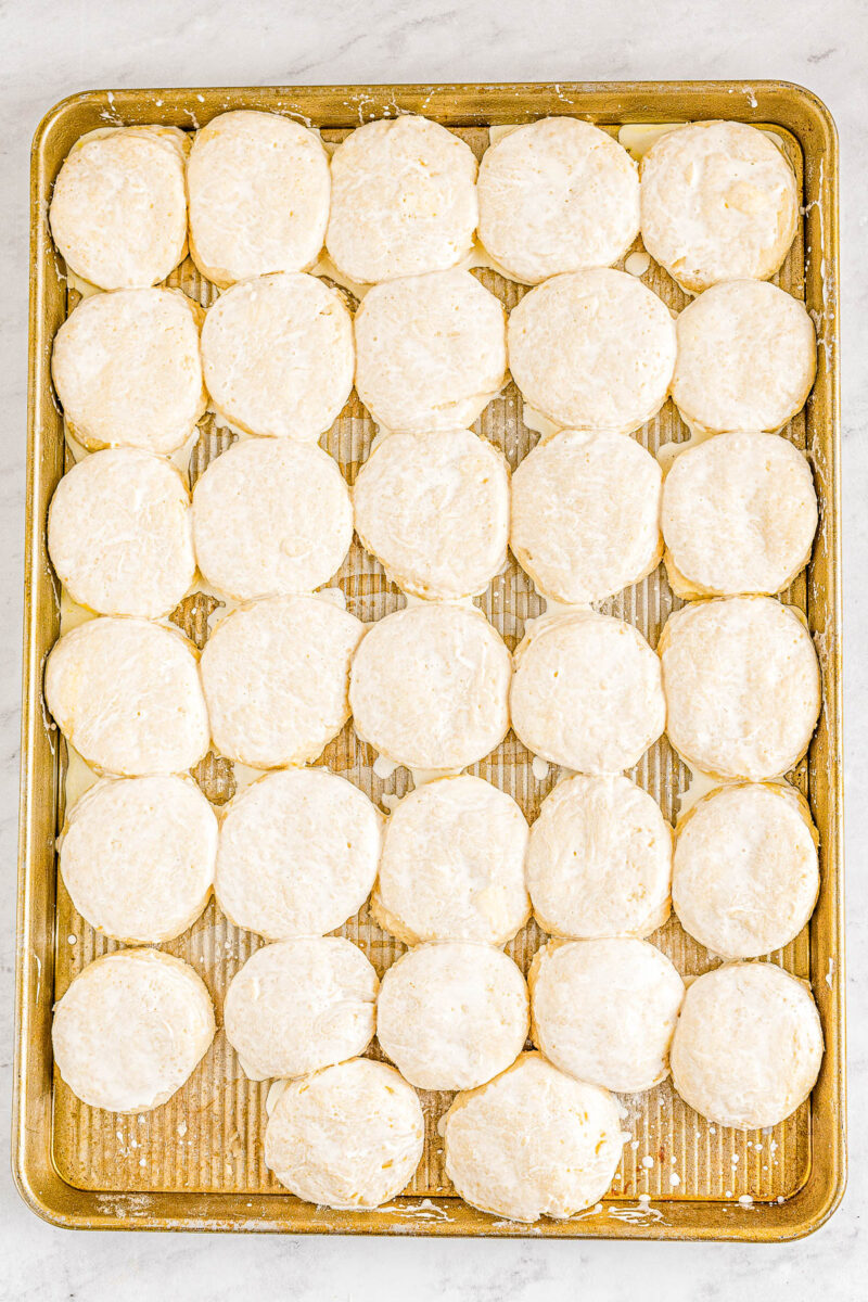 Angel Biscuits proofed on a baking sheet.