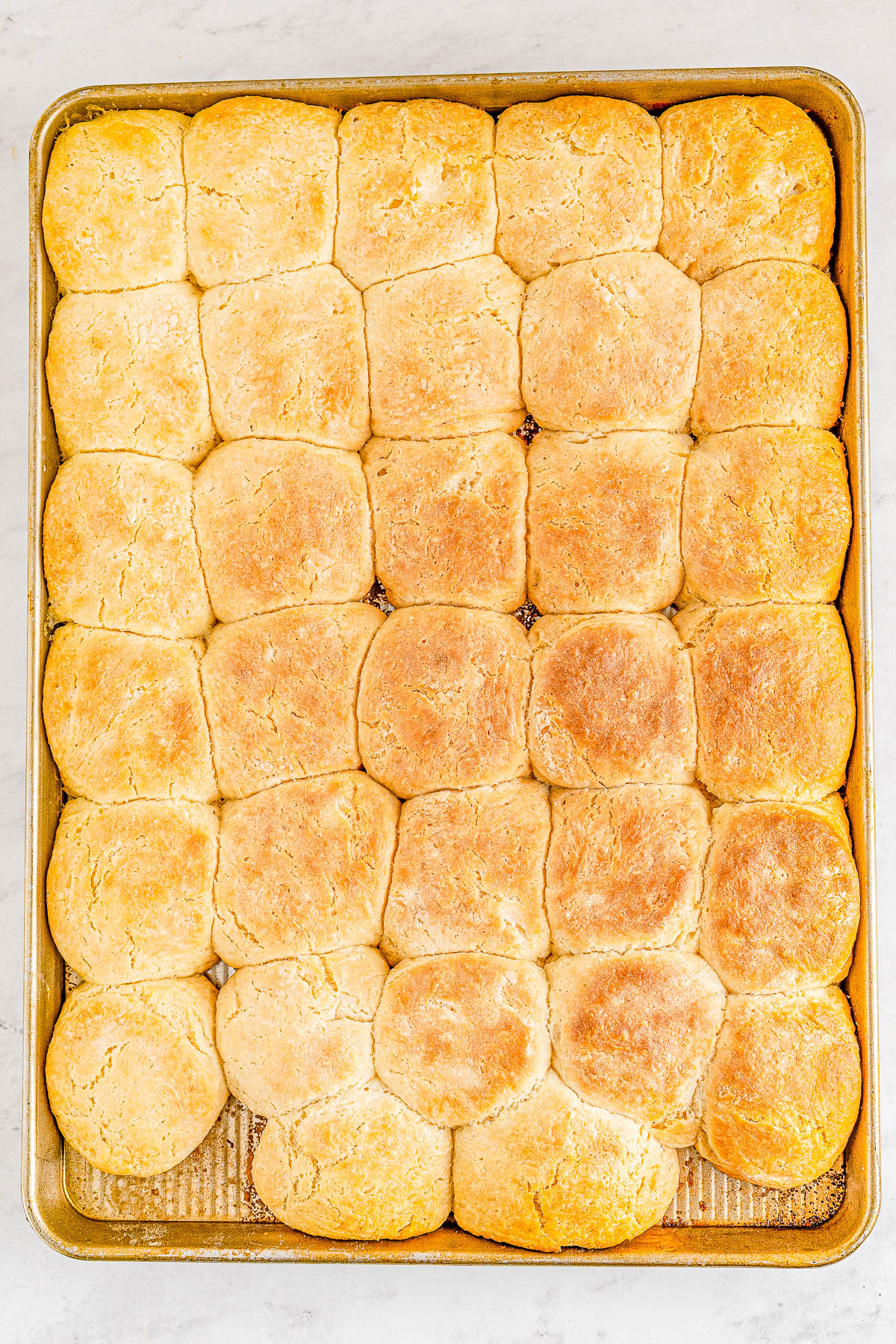 Angel Biscuits - The lightest, fluffiest, flakiest, melt-in-your-mouth biscuits you'll ever eat! Thanks to a trio of leavening agents, plenty of butter, and buttermilk, these EASY biscuits will become a family FAVORITE in no time! Serve them in place of regular biscuits or dinner rolls, or make them for a special brunch or holiday meal, and I promise no one will eat just one!
