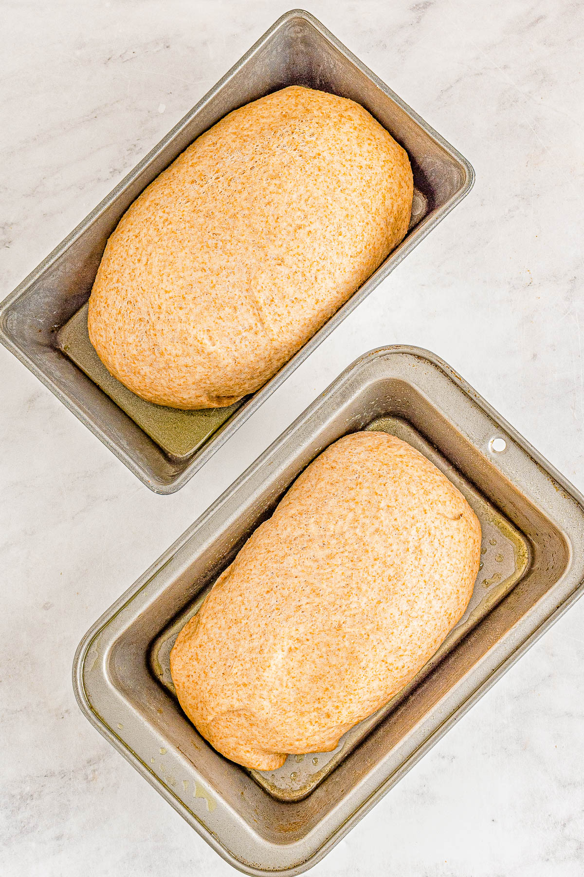 Honey Whole Wheat Bread - An EASY and foolproof homemade bread recipe for honey sweetened whole wheat bread! It's soft, thick, and scrumptious! Serve it plain, toast it, make sandwiches with it, or serve it with honey butter which is my favorite! Even if you're never made bread before, my recipe is straightforward and do-able!