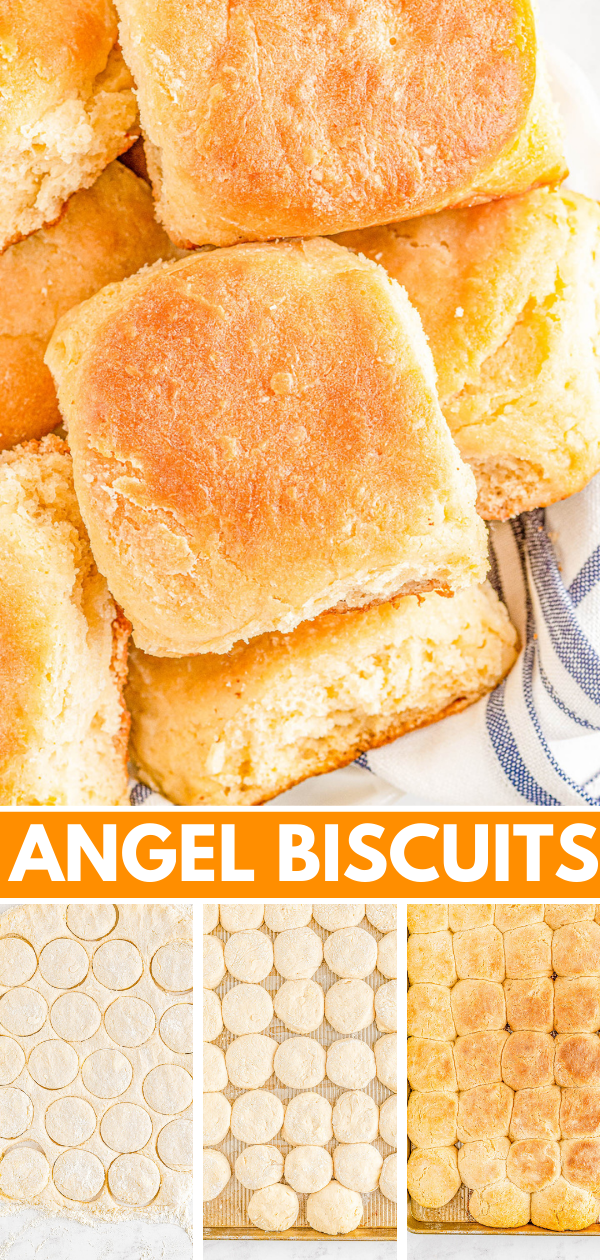 Angel Biscuits - The lightest, fluffiest, flakiest, melt-in-your-mouth biscuits you'll ever eat! Thanks to a trio of leavening agents, plenty of butter, and buttermilk, these EASY biscuits will become a family FAVORITE in no time! Serve them in place of regular biscuits or dinner rolls, or make them for a special brunch or holiday meal, and I promise no one will eat just one! 