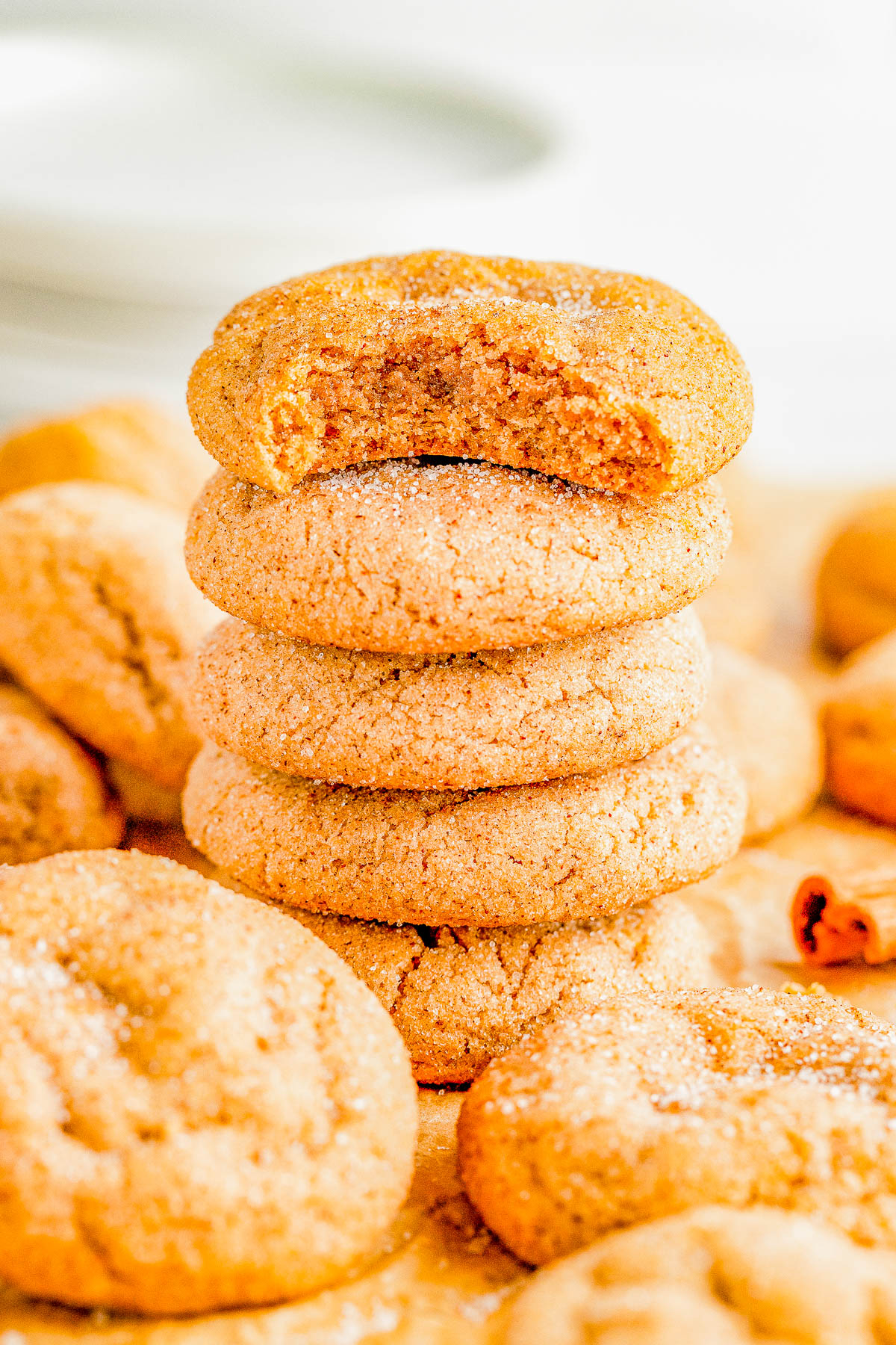 Soft and Chewy Pumpkin Snickerdoodles — Soft and pillowy in the middle, chewy around the edges, and ever so slightly crisp on the bottom! Classic snickerdoodles get a makeover with the addition of pumpkin puree and pumpkin pie spices! So EASY and the dough can be made in advance, and perfect for all those COZY fall vibes! 