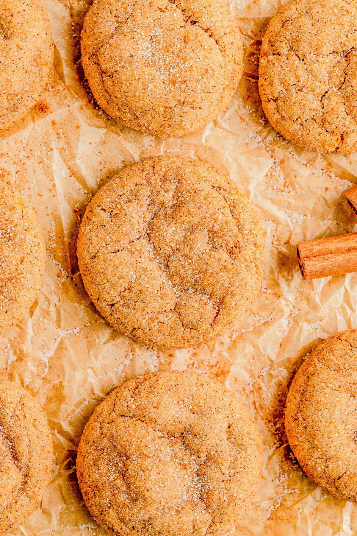 Soft and Chewy Pumpkin Snickerdoodles — Soft and pillowy in the middle, chewy around the edges, and ever so slightly crisp on the bottom! Classic snickerdoodles get a makeover with the addition of pumpkin puree and pumpkin pie spices! So EASY and the dough can be made in advance, and perfect for all those COZY fall vibes! 