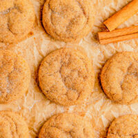 Soft and Chewy Pumpkin Snickerdoodles — Soft and pillowy in the middle, chewy around the edges, and ever so slightly crisp on the bottom! Classic snickerdoodles get a makeover with the addition of pumpkin puree and pumpkin pie spices! So EASY and the dough can be made in advance, and perfect for all those COZY fall vibes!