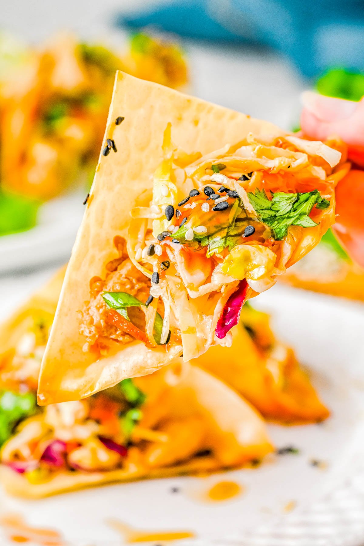 Copycat Applebee's Chicken Wonton Tacos — Crispy, crunchy wonton wrappers are filled with succulent teriyaki chicken and topped with sesame ginger coleslaw to create the best ever chicken wonton tacos! This is a homemade version of Applebee's wonton tacos, but fresher and tastier. If you love Asian-fusion recipes, you’re going to love these tacos!   