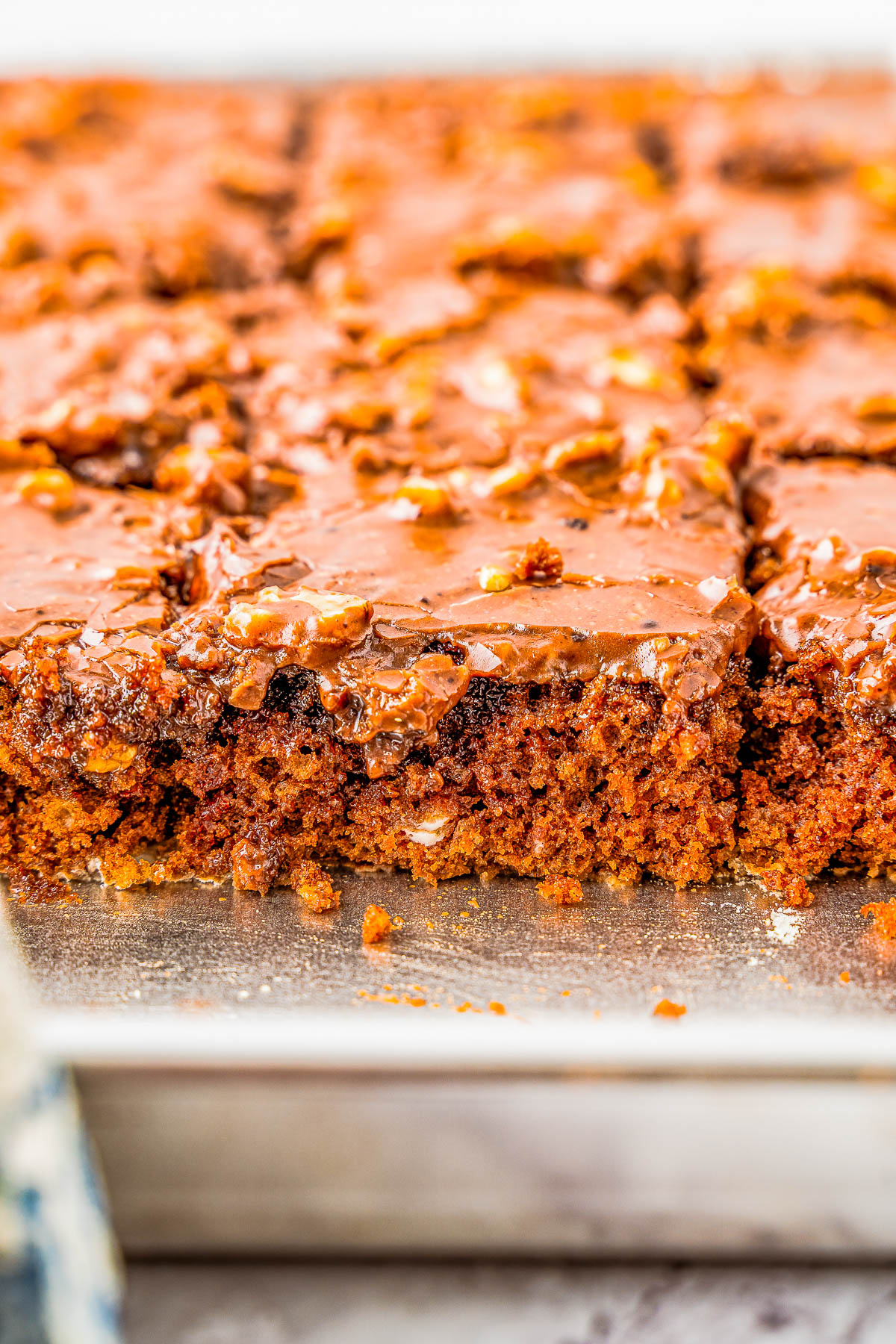 Texas Sheet Cake –  An EASY no-mixer recipe for classic Texas sheet cake that's so rich in chocolate flavor thanks to the moist chocolate cake itself and to the chocolate frosting with walnuts for a bit of crunch in every bite! Ready in less than 1 hour, and it feeds a crowd, making this a perfect party or celebration cake any time of year!