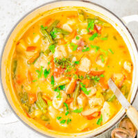 Overhead image of a pot of chicken stew with a ladle sticking out.