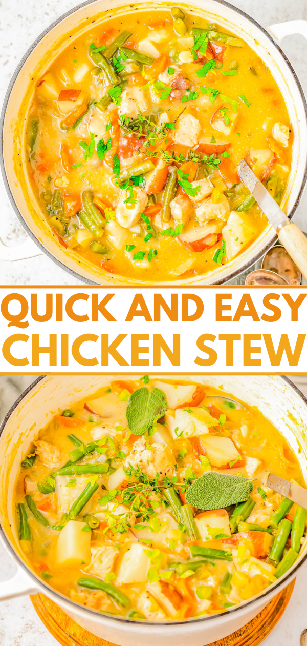 Easy Chicken Stew - You don't need to wait all day for this one-pot comfort food chicken stew recipe that's ready in 45 minutes! It's chock full of juicy chicken, buttery potatoes, tender carrots, celery, green beans, and seasoned to perfection with a variety of herbs and spices! EASY and great for busy weeknights, lazy weekends, chilly weather, or when you're craving hearty COMFORT food! 