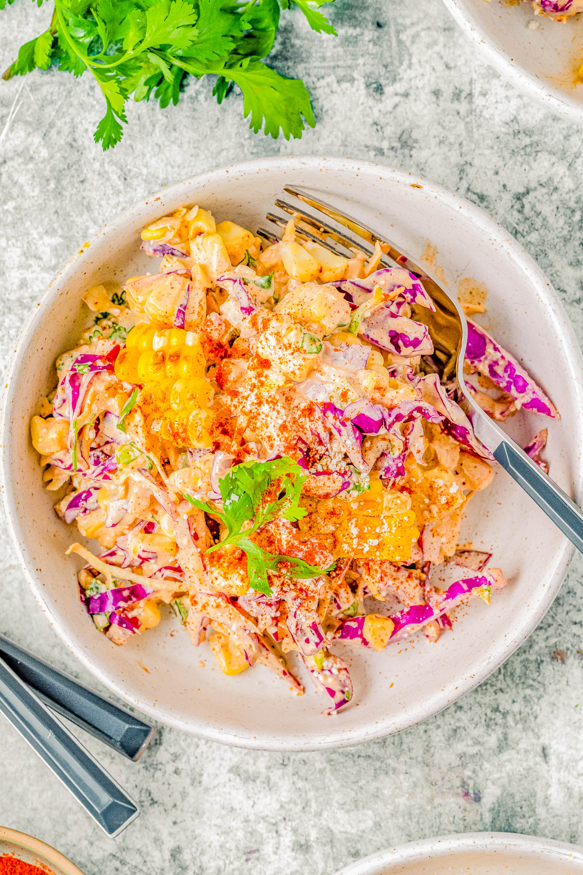 A vibrant bowl of coleslaw with red cabbage, carrot, corn, and herbs, topped with a sprinkle of paprika, served on a textured gray surface.