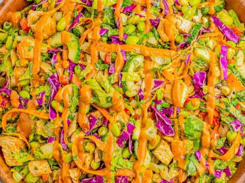 chinese chicken salad with red chile peanut dressing Asian Chicken Salad Recipe