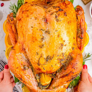 A whole roasted turkey garnished with herbs and lemon slices, held by a person with red nail polish. Cranberries and peas are visible in the background.