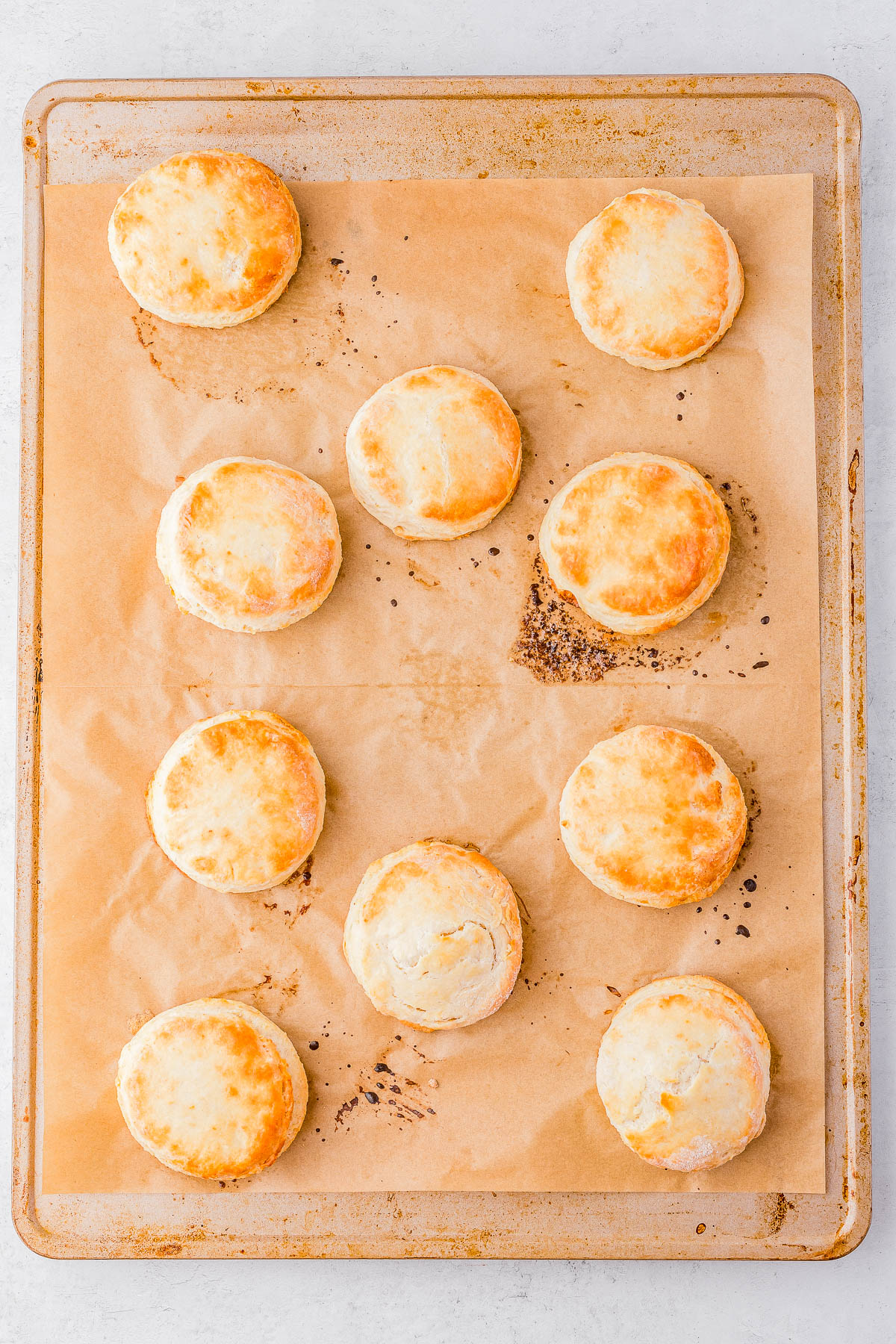 Ten golden-brown biscuits on a parchment-lined baking sheet.