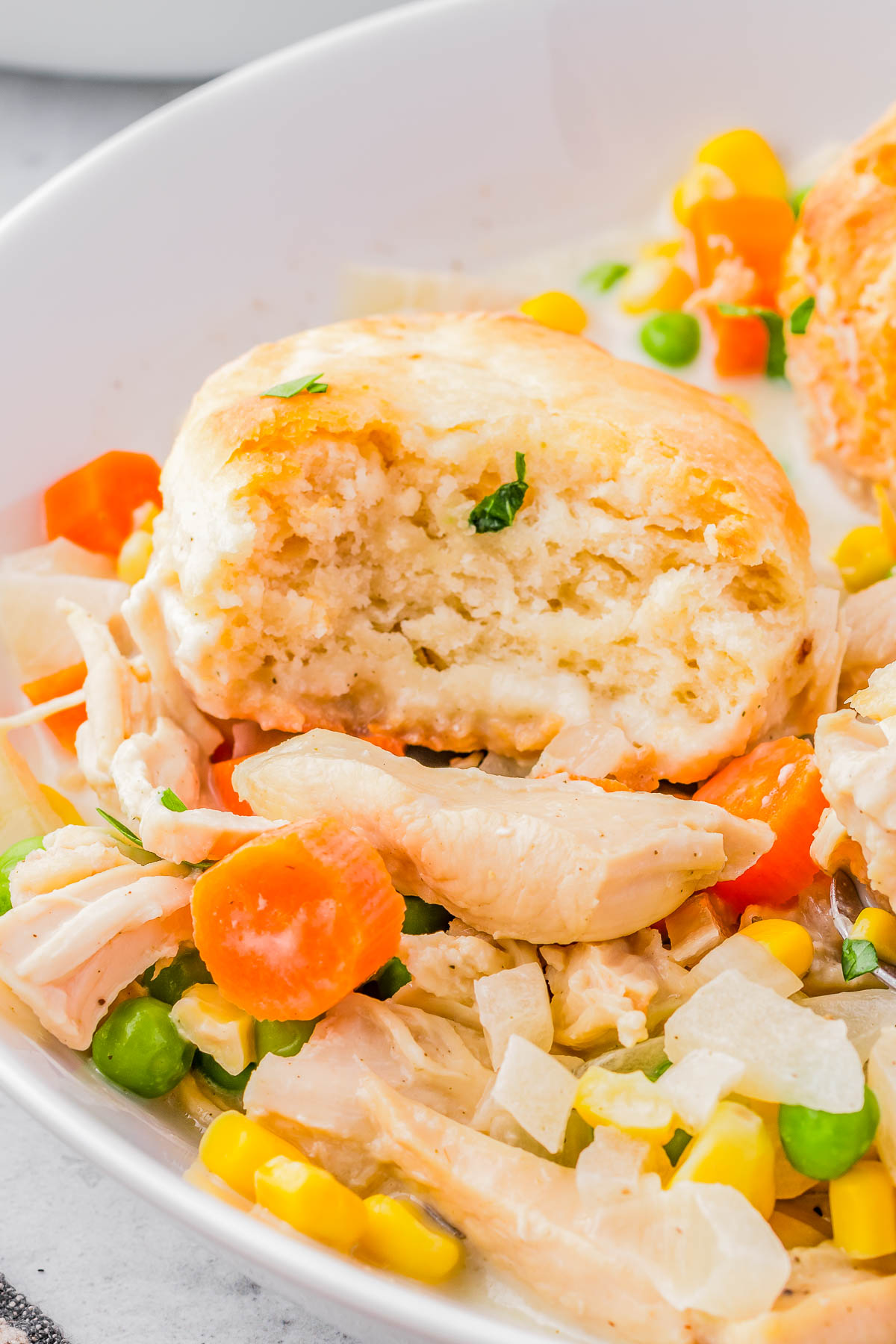 A white plate with chicken and vegetable pot pie, topped with a biscuit, showing carrots, peas, corn, and a creamy sauce.