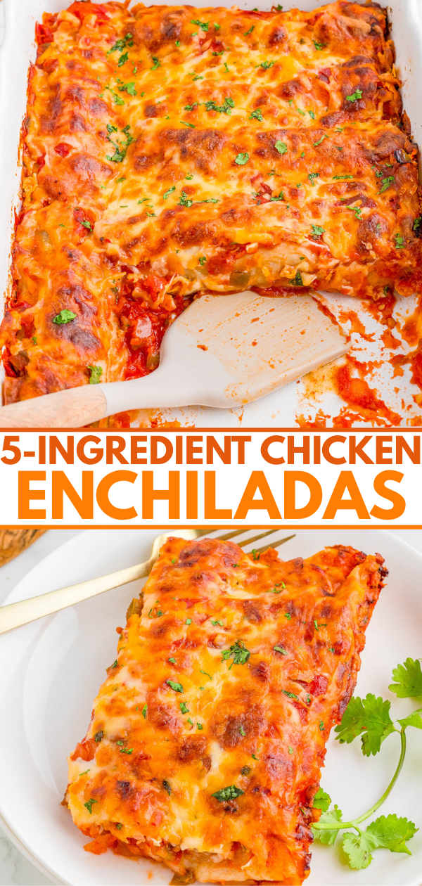 A baking dish of cheesy chicken enchiladas with a portion served on a plate; the text reads