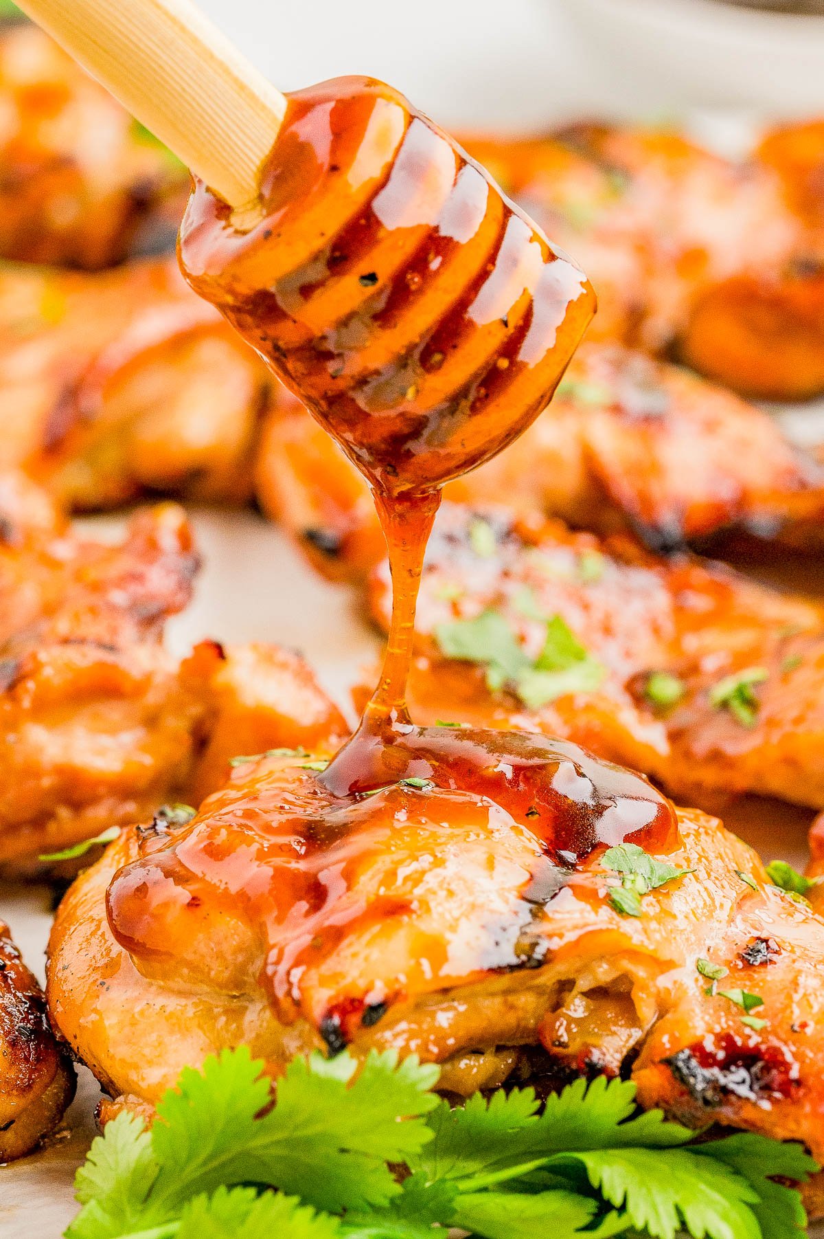 A honey dipper drizzles glaze over grilled chicken pieces, garnished with chopped herbs and cilantro.