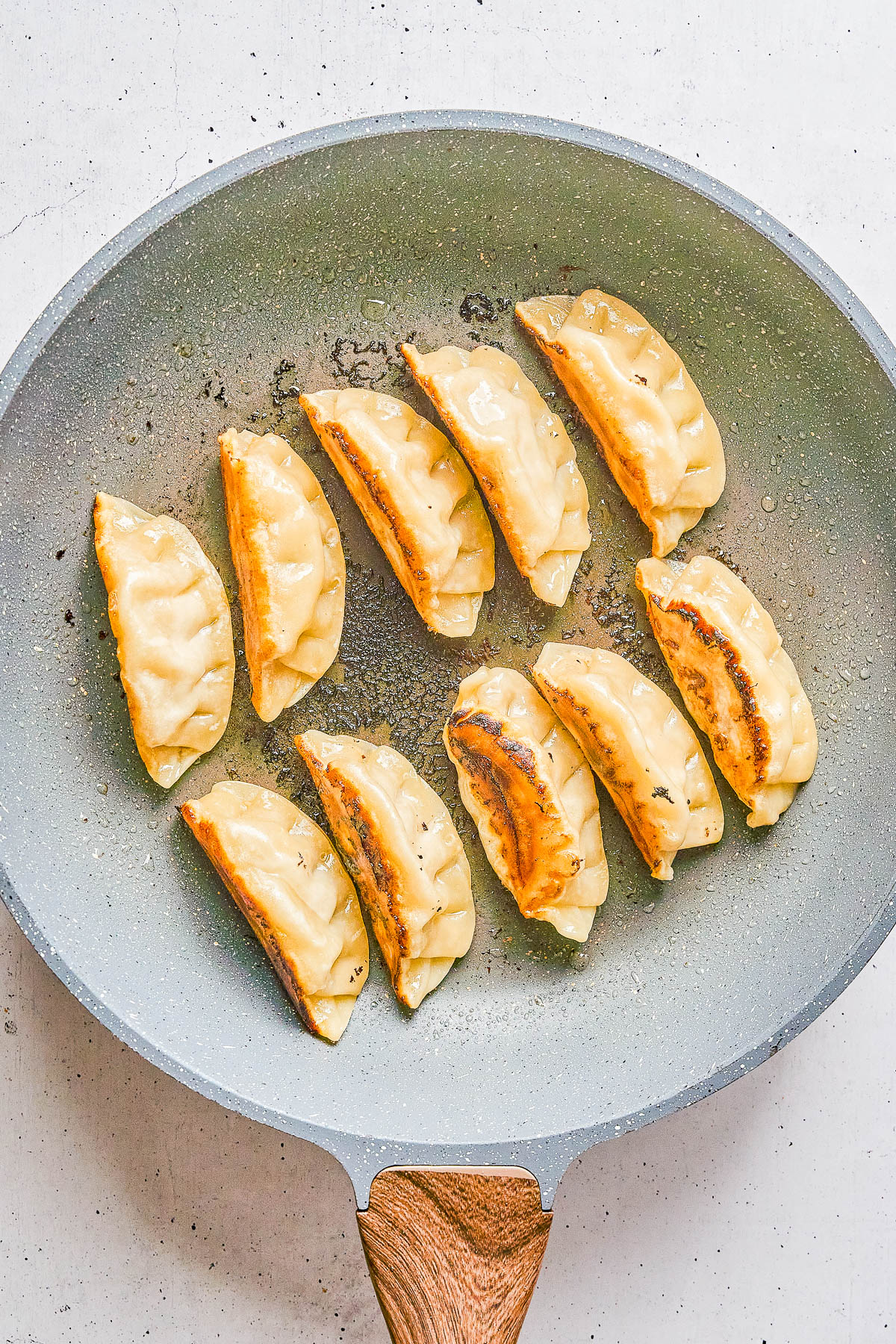 A nonstick frying pan containing ten pan-fried dumplings with golden-brown sides on a white background.