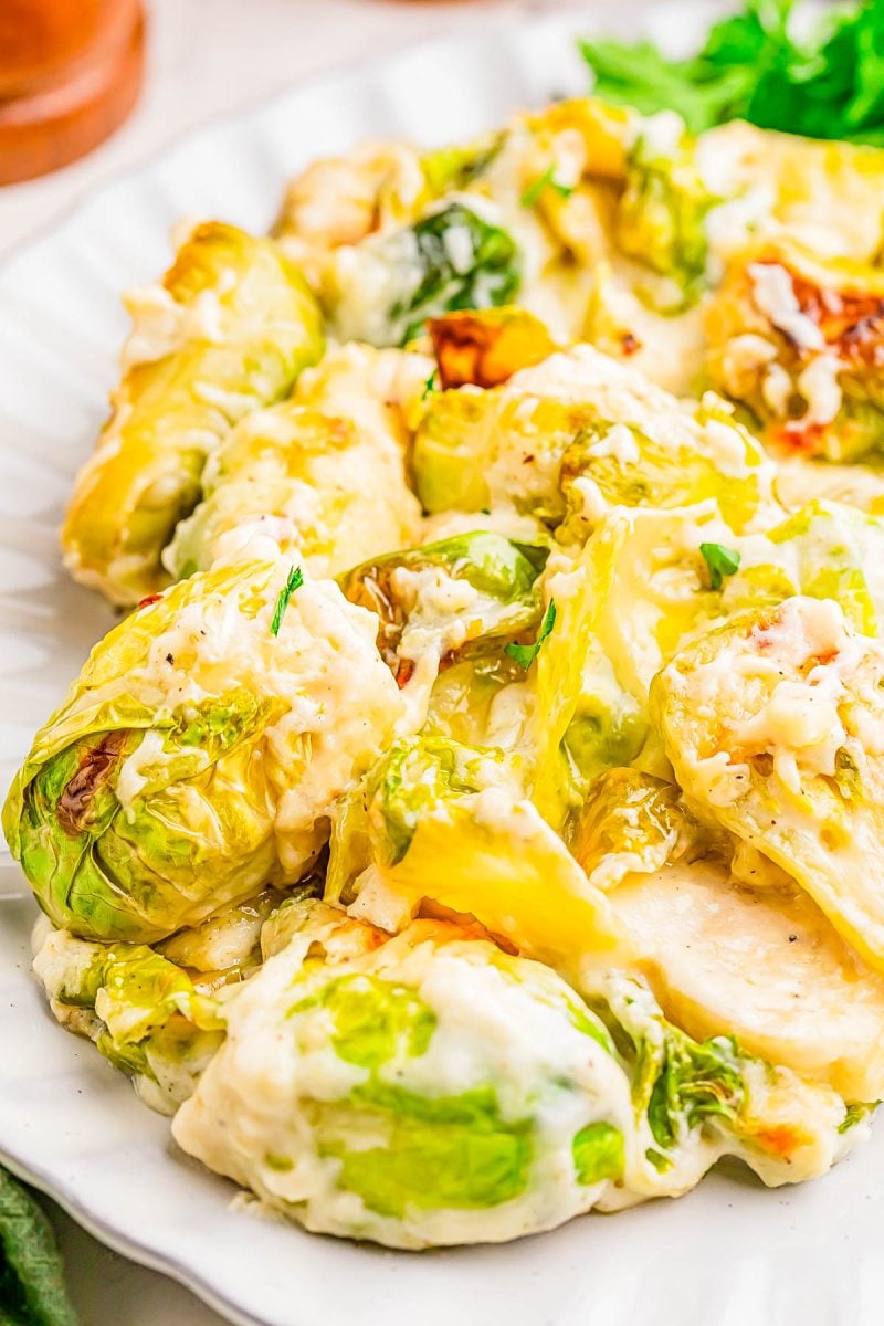 A plate of creamy baked Brussels sprouts topped with melted cheese, served on a white dish.