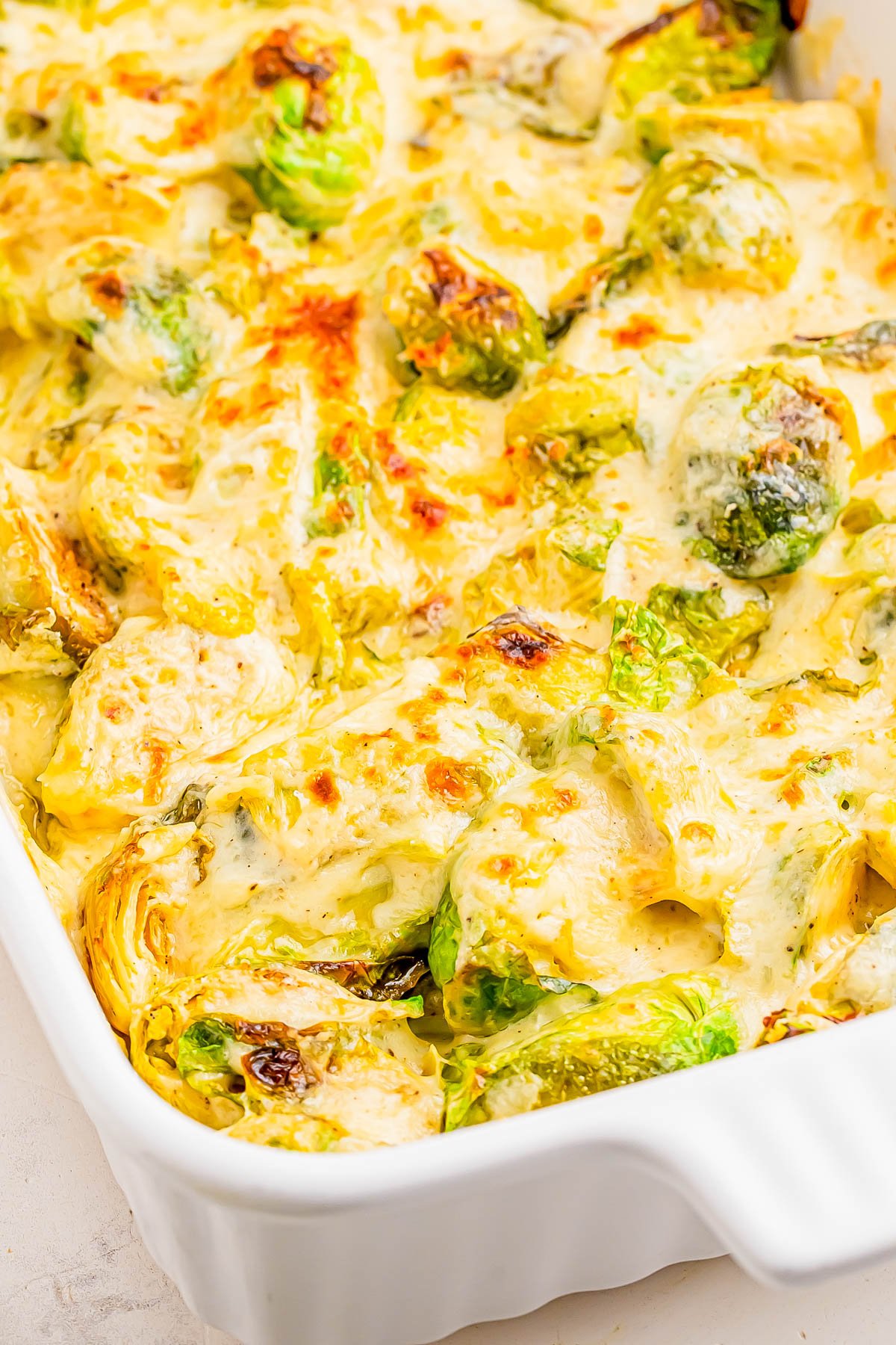 A close-up of a baked casserole dish filled with creamy Brussels sprouts in a cheesy sauce, with browned spots on top.