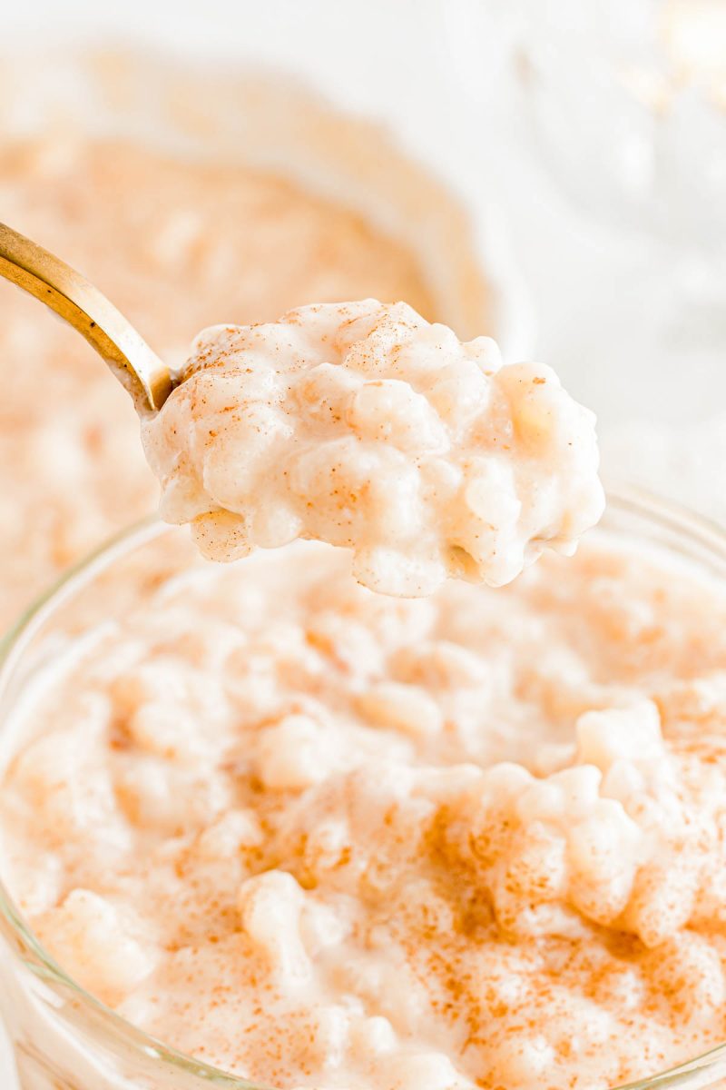 A close-up of a spoonful of creamy rice pudding sprinkled with cinnamon, held above a bowl filled with more rice pudding.