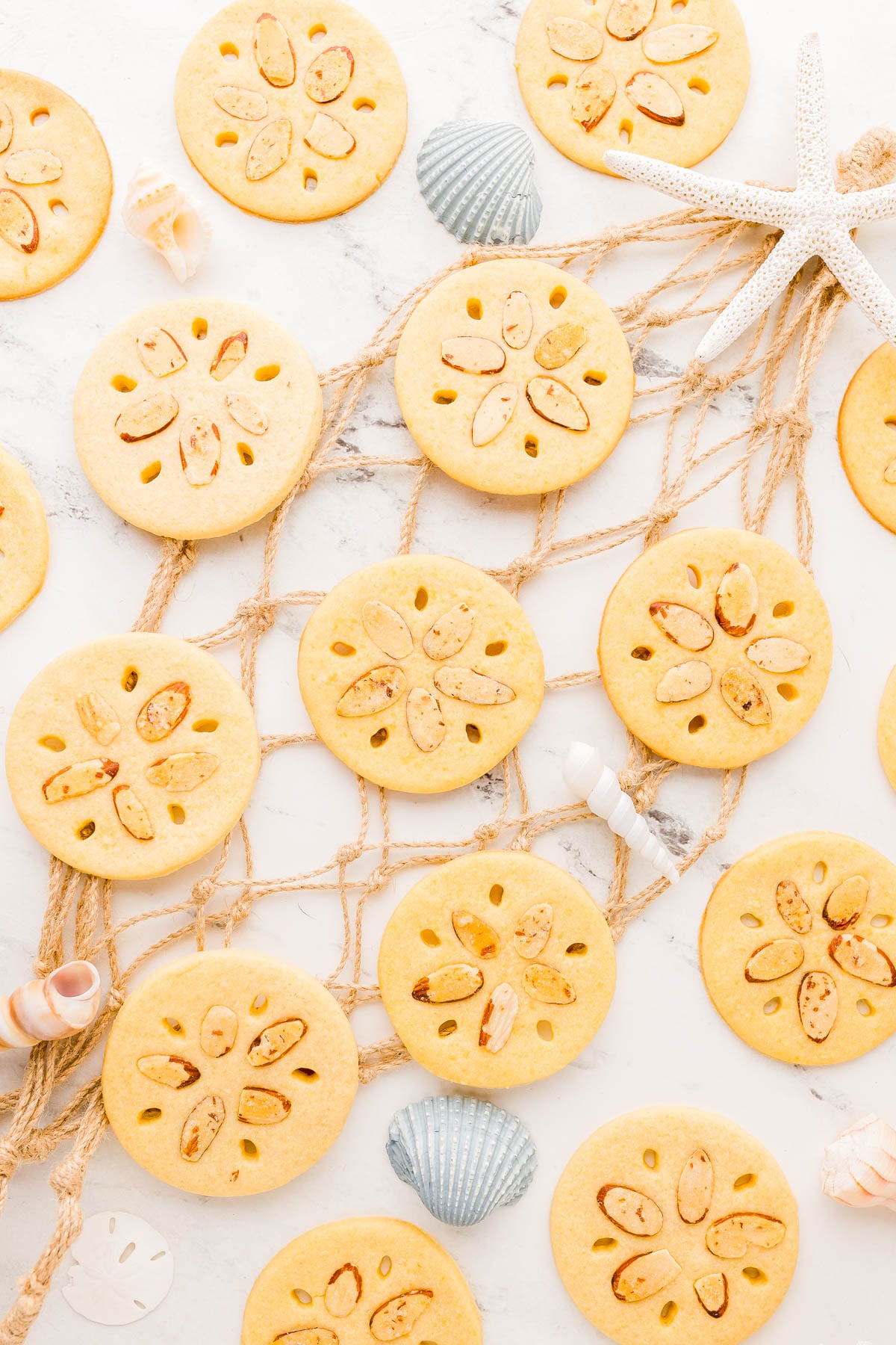 Round cookies decorated to resemble sand dollars are arranged on a net with seashells and a starfish on a white marble surface.