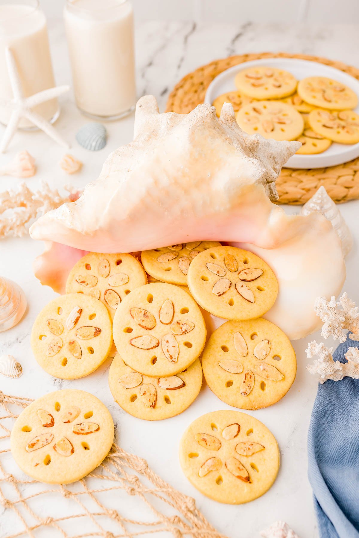 Round sand dollar cookies are arranged spilling from a large seashell, with additional cookies on a plate nearby. Two glasses of milk and sea-themed decor are in the background.