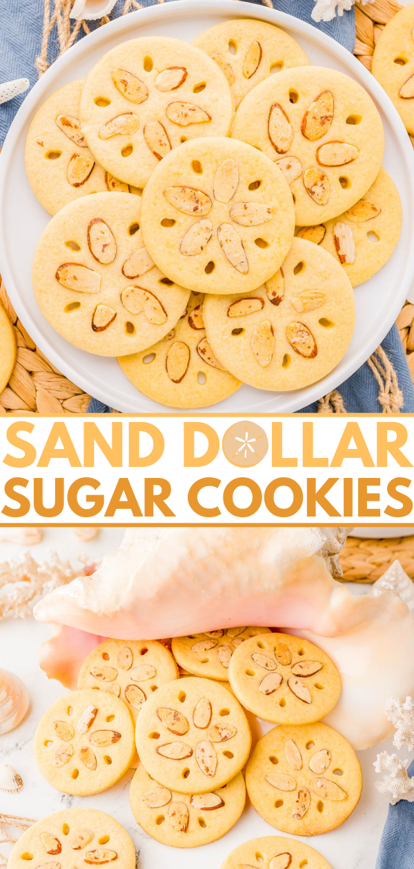 Round sugar cookies decorated with almond slices arranged to resemble sand dollars, displayed on a plate and next to a seashell.
