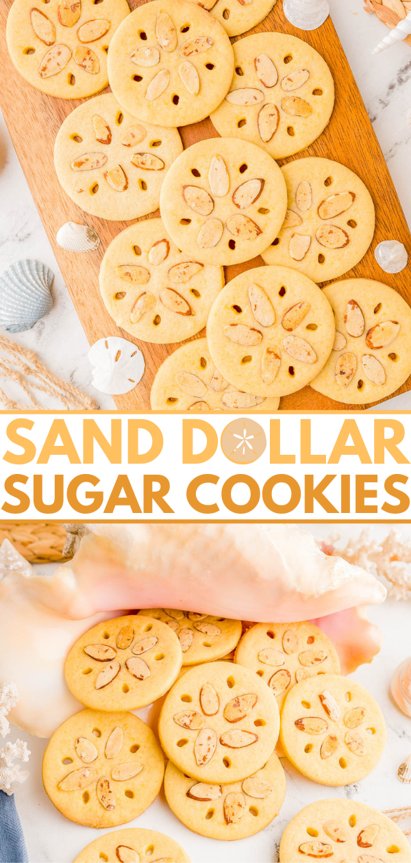 Round sugar cookies decorated to resemble sand dollars are displayed on a wooden board and a light surface, with seashells and sand for decoration.