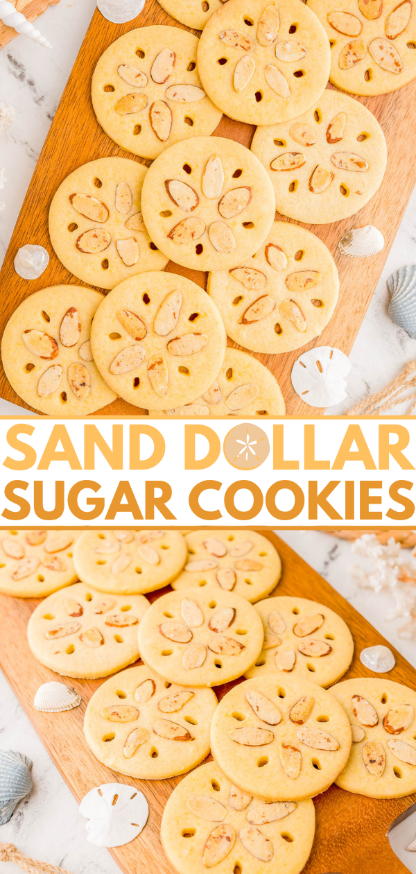 A wooden board displays sand dollar-shaped sugar cookies decorated with almond slivers, surrounded by small seashells.