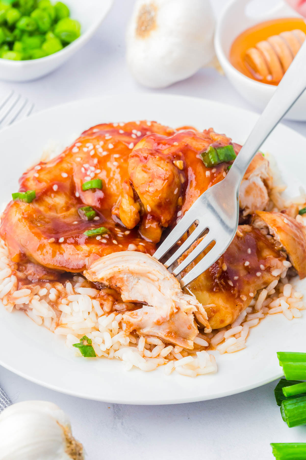 A plate of white rice topped with sliced chicken in a brown sauce, garnished with green onions and sesame seeds, with a fork cutting into the chicken.