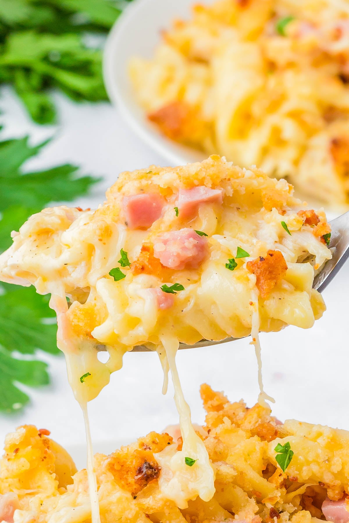 A close-up of a spoonful of cheesy pasta bake with ham and parsley, showing melted cheese stretching from the dish.